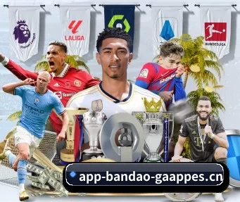半岛电竞 APP